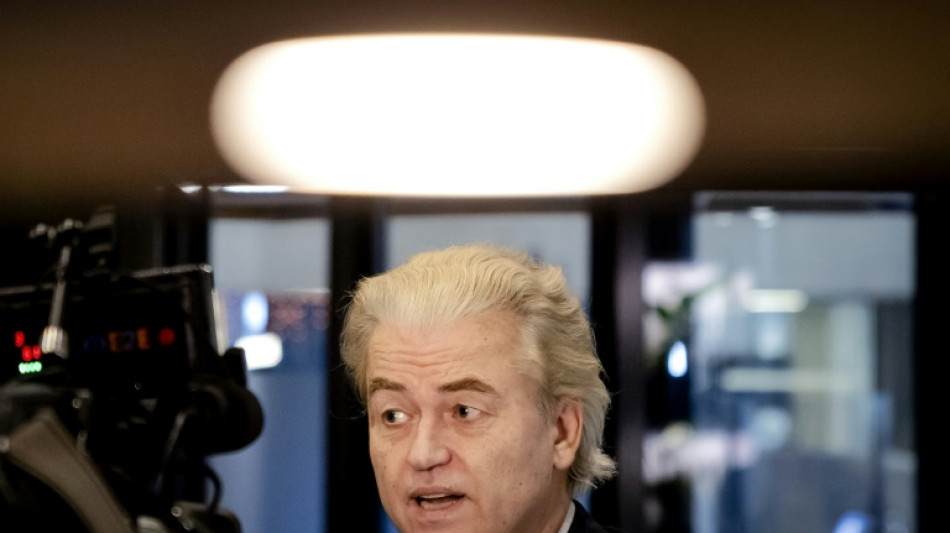 Thumbs-up for Wilders in one of poorest Dutch districts