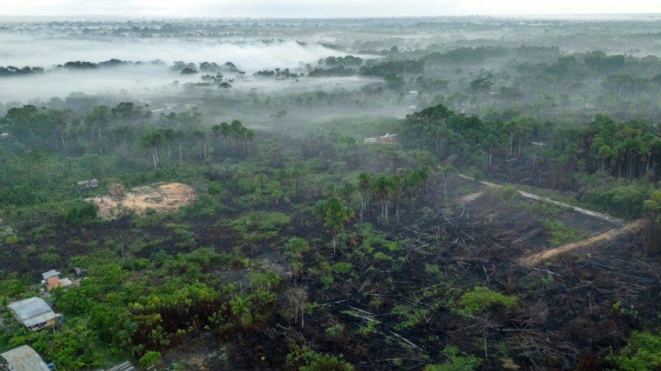 "Les incendies, ça suffit!": en Amazonie, des habitants révoltés face à l'impunité