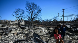 Hawaii starts probe into wildfire handling, as toll hits 80