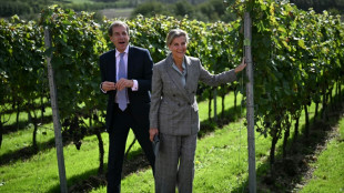 En Angleterre, le vin pétillant met les maisons de champagne en effervescence