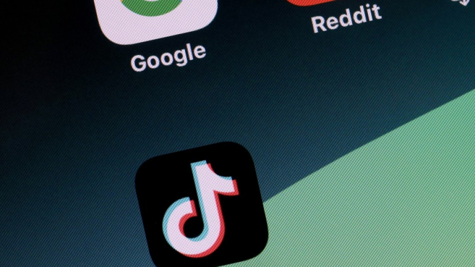 TikTok fails 'disinformation test' before EU vote, study shows