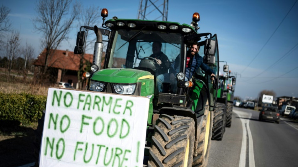 EU to shield farmers threatened by Ukraine farm imports