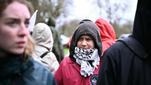 Greta Thunberg joins banned French anti-motorway protest