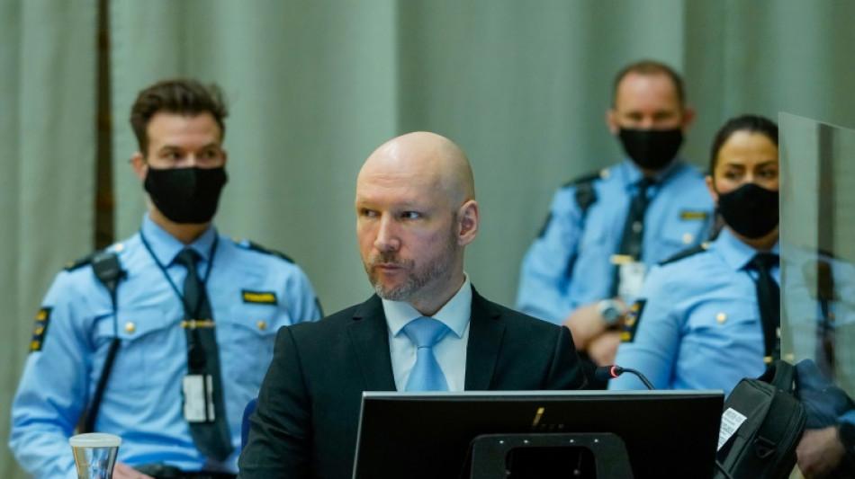 'Suicidal' Breivik sues Norwegian state over isolation