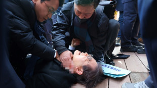 South Korean opposition leader stabbed in neck