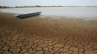 Drought-hit Colombia halts electricity exports to Ecuador