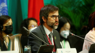 New funding announcements at high-stakes UN nature summit