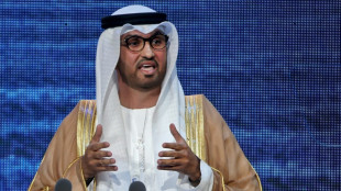 Oil boss as climate talks host: what's behind UAE's choice?