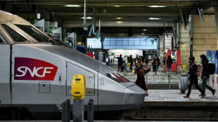 Chat écrasé par un TGV: la SNCF condamnée à une amende de 1.000 euros