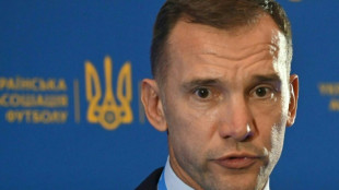 Andriy Shevchenko elected Ukrainian football association boss