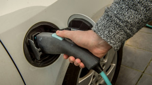 Paris accélère sur les recharges de voiture électrique