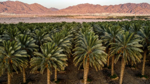 Israel's pioneering use of water 'to the last drop'