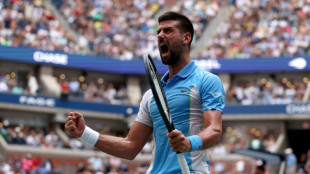 Djokovic vence Fritz e vai à semifinal do US Open