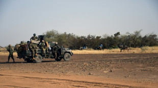 Parlament von Niger stimmt für ausländische Militäreinsätze im Land