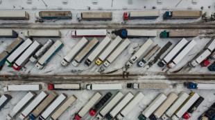 Polish truckers suspend Ukraine border blockade