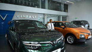 Vietnam's VinFast struggles to sell electric cars at home