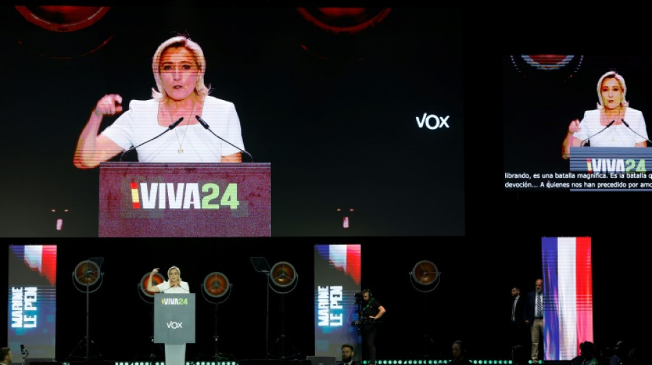 Meloni, Le Pen flirt with combining EU far-right forces