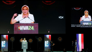 Meloni, Le Pen flirt with combining EU far-right forces