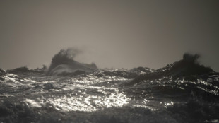 Un mois avant son pic habituel, l'océan Atlantique Nord bat son record de chaleur