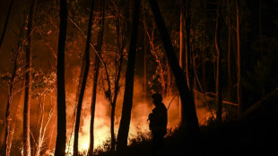 Después de España y Portugal, la ola de calor se extiende a Francia y Reino Unido