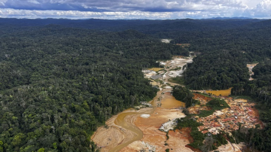 Oito corpos são encontrados em reserva indígena Yanomami