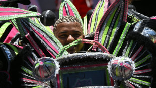 Rio carnival opens, with glitter and politics