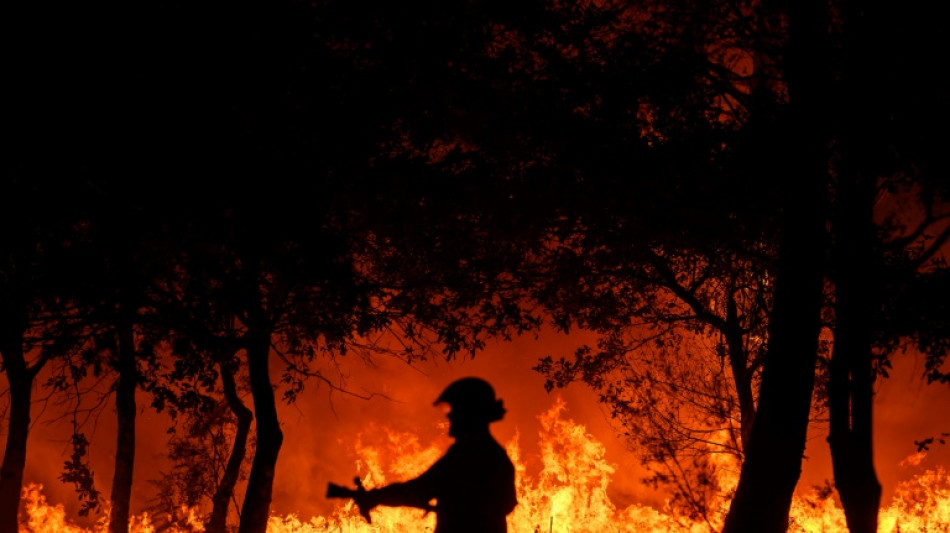 'Serious concerns' for new dry summer in France after 2022 fires