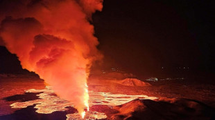 Icelandic volcano erupts for third time since December