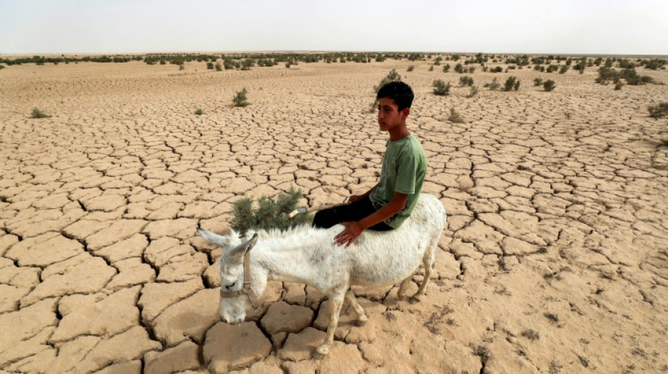 Key Iraq irrigation reservoir close to drying out