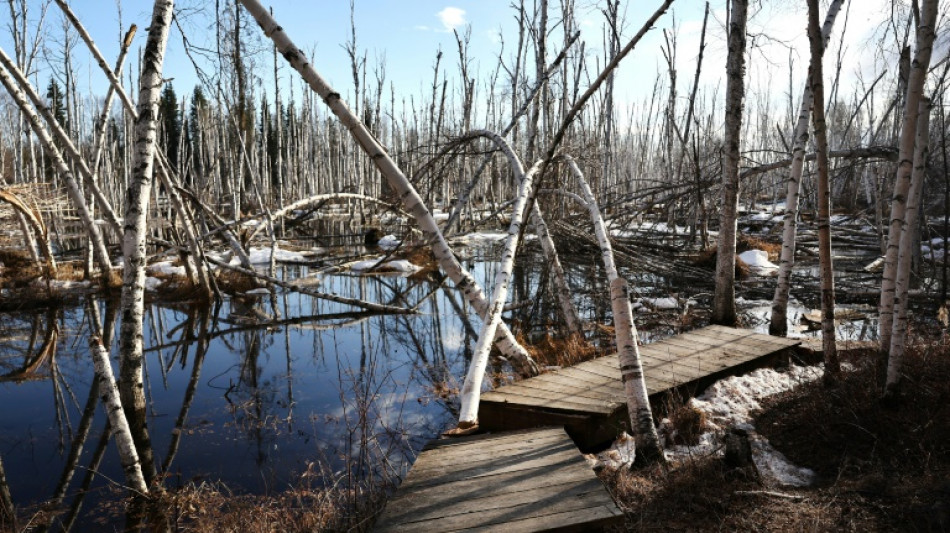 Forscher: Auftauender Permafrostboden verändert Leben von Millionen "drastisch"