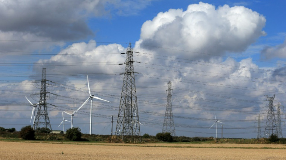 UK to cap renewable energy company revenues