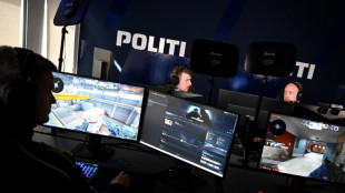 Online police patrol the internet in Denmark