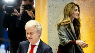 'Not my dream start': Dutch talks in chaos as Wilders 'scout' quits