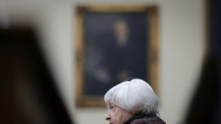 Yellen says US commercial property concerns 'manageable'