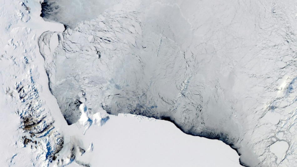 Over 40% of Antarctica's ice shelves lost mass in 25 years: study