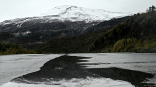 Colombia ha perdido más de la mitad de sus glaciares, alerta ONG