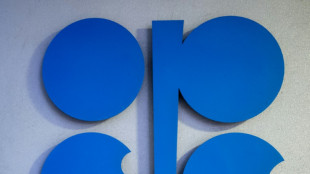 OPEC debates oil output boost amid Russian isolation