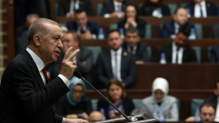 Turkey parliament committee approves Sweden's NATO bid 