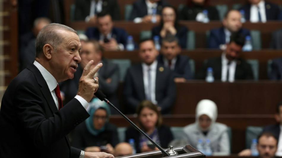 Turkey's parliament resumes debate on Sweden's NATO bid 