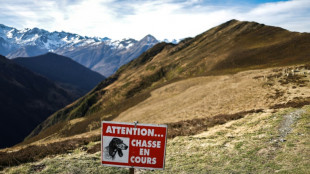 Le gouvernement va annoncer s'il interdit ou non la chasse le dimanche