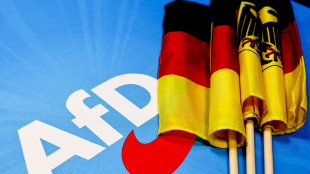 Proiezione, l'Afd primo partito nell'est della Germania