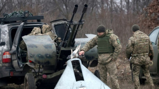 Ukraine's mobile air defences have ammo for 'few more attacks': commander