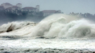 Power outages, damage as Typhoon Hinnamnor hits South Korea