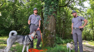 Due nuovi cani anti orso per il Nucleo cinofilo del Trentino