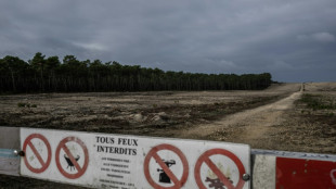 A La Teste-de-Buch, la forêt publique incendiée se refait une beauté