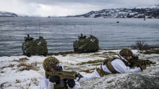 NATO prepares for Russian threat in harsh Arctic
