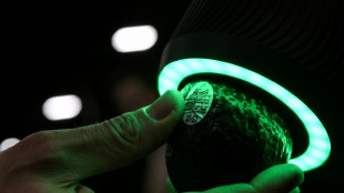 Scanners for avocados and your brain: Highlights from CES 2023