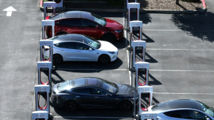 Tesla: Musk assure que le réseau de superchargeurs va continuer de s'étendre