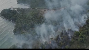 Incendio Vieste,disposta evacuazione residence