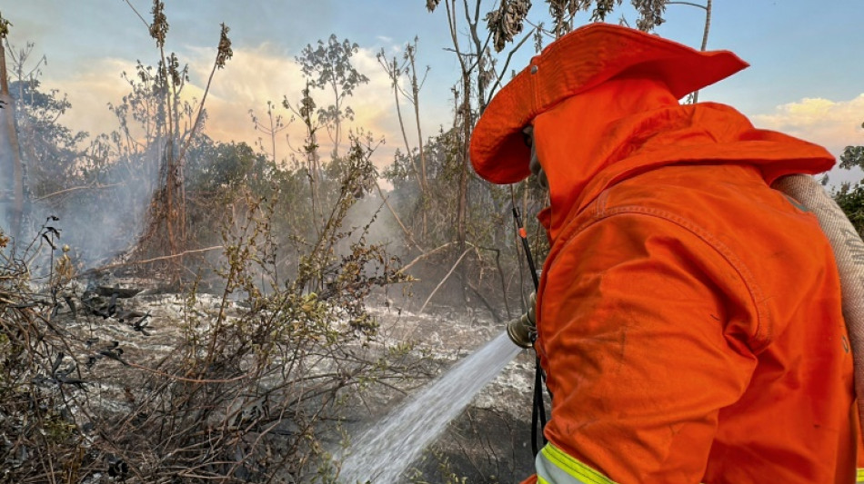 Los incendios se agravan en el Pantanal brasileño, el mayor humedal del planeta